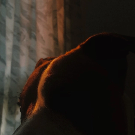 Parallax #2